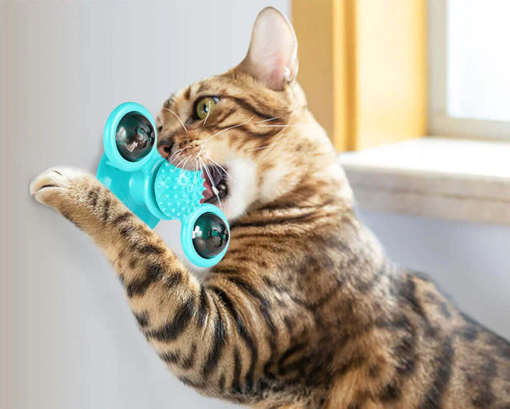 Moulin à vent interactif avec balles pour chat