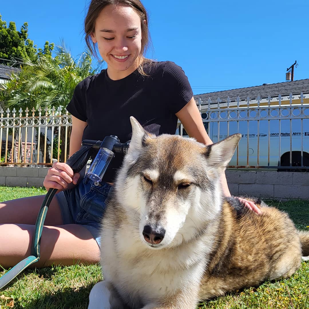 Hunde-Duschbrause für schnelles & einfaches Waschen