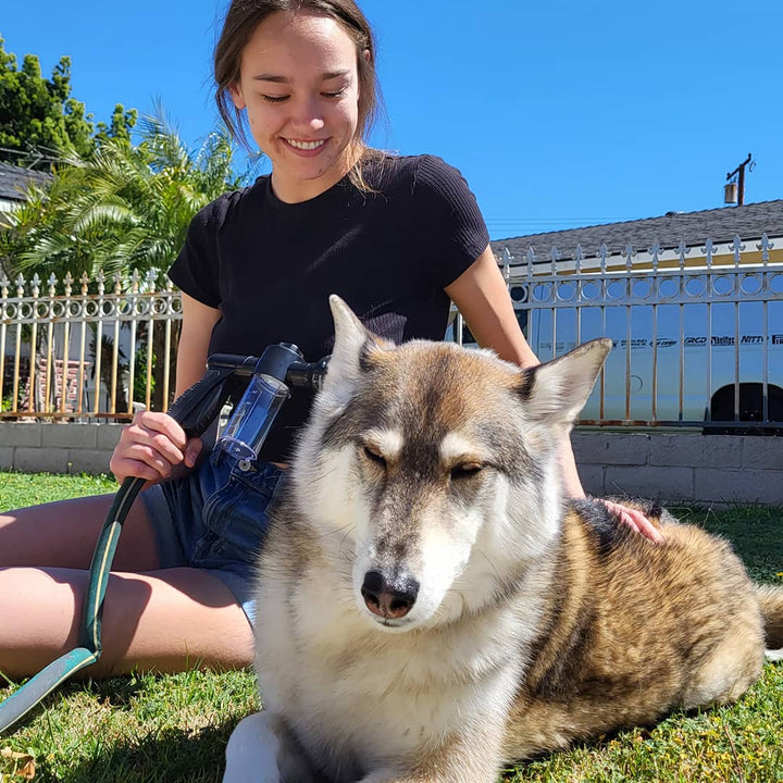 Hunde-Duschbrause für schnelles & einfaches Waschen