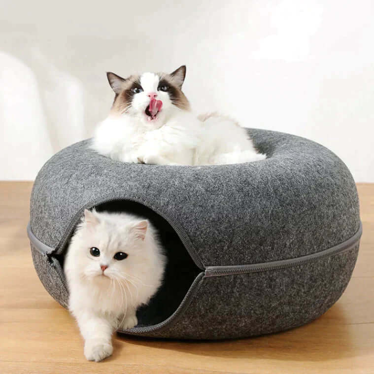 Lit luxueux pour chat et grotte de jeu