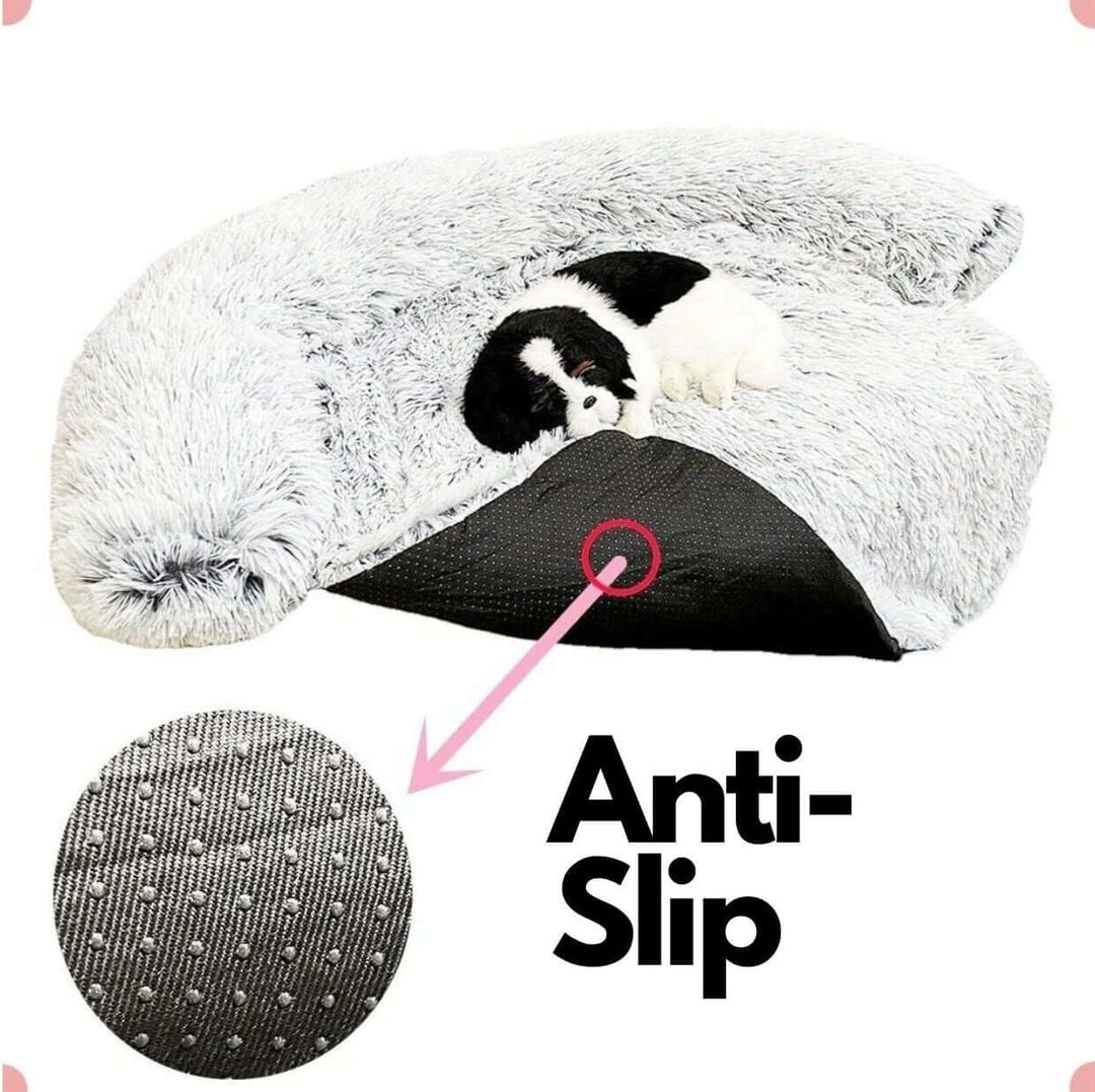 Couverture lavable pour canapé pour animaux de compagnie - Peluche