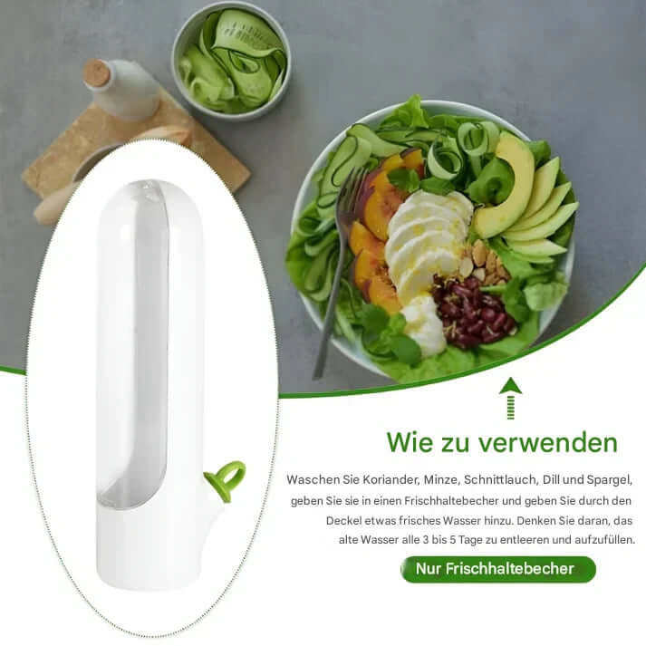 Kräuterbox Frisch Kräuter Aufbewahrung Kräuterbehälter Küche