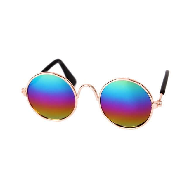 Lunettes tendance pour chat - KittyShades