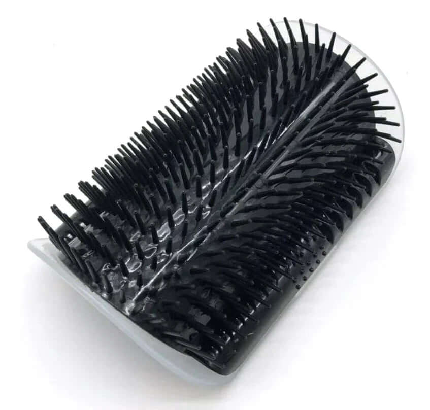 Brosse d'auto-toilettage pour chat pour le coin