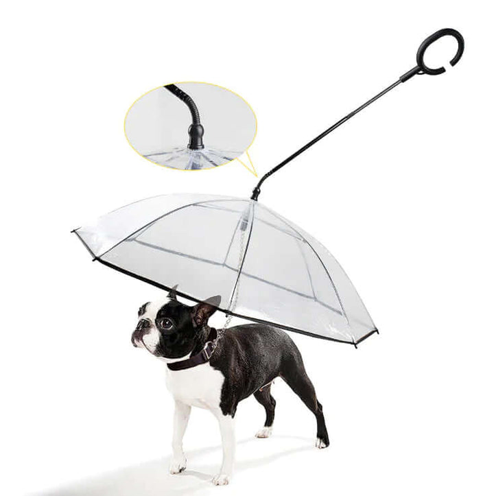 Parapluie transparent pour chien pour pattes sèches