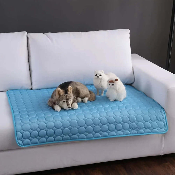 Tapis rafraîchissant pour animaux de compagnie - Tapis d'été pour chiens et chats