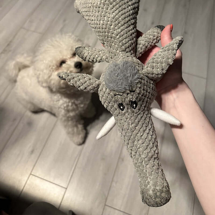 Jouet pour chien extra résistant - Durable et sûr