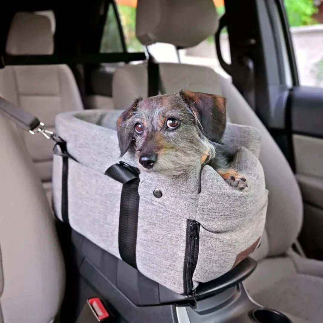 Erhöhter Autositz für Hunde bis 11kg