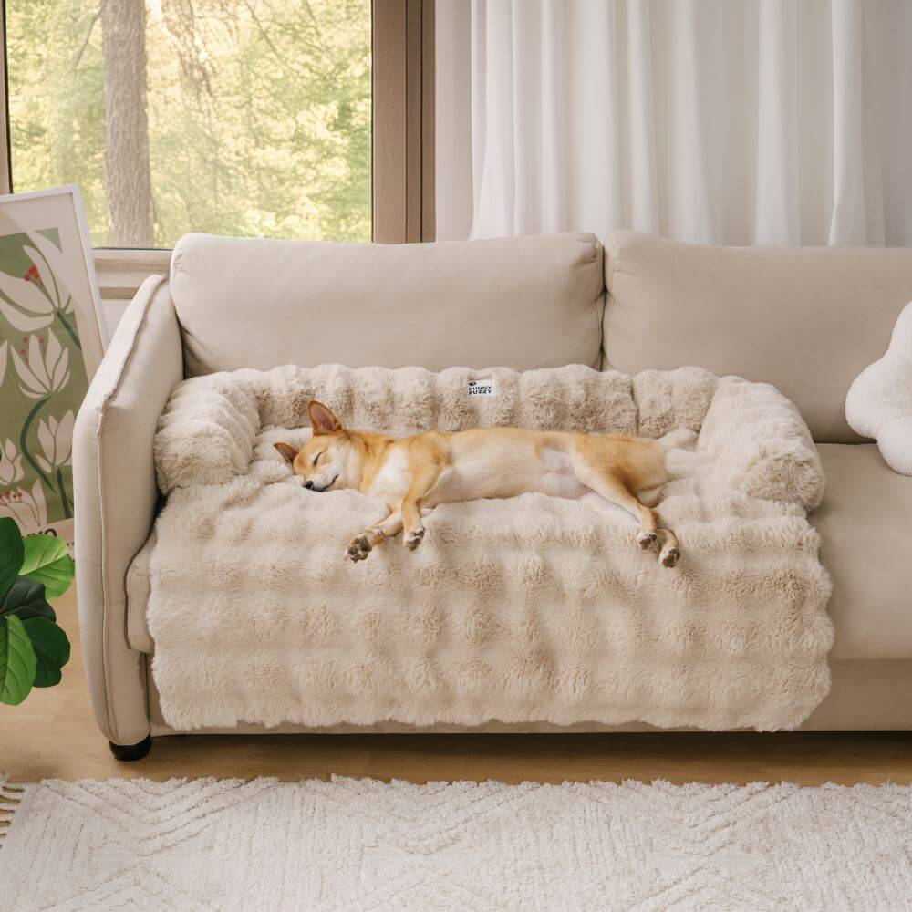 Couverture de canapé pour chien en peluche PlushNest