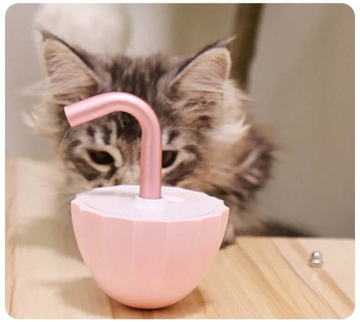 Jouet interactif pour chat avec pointeur laser