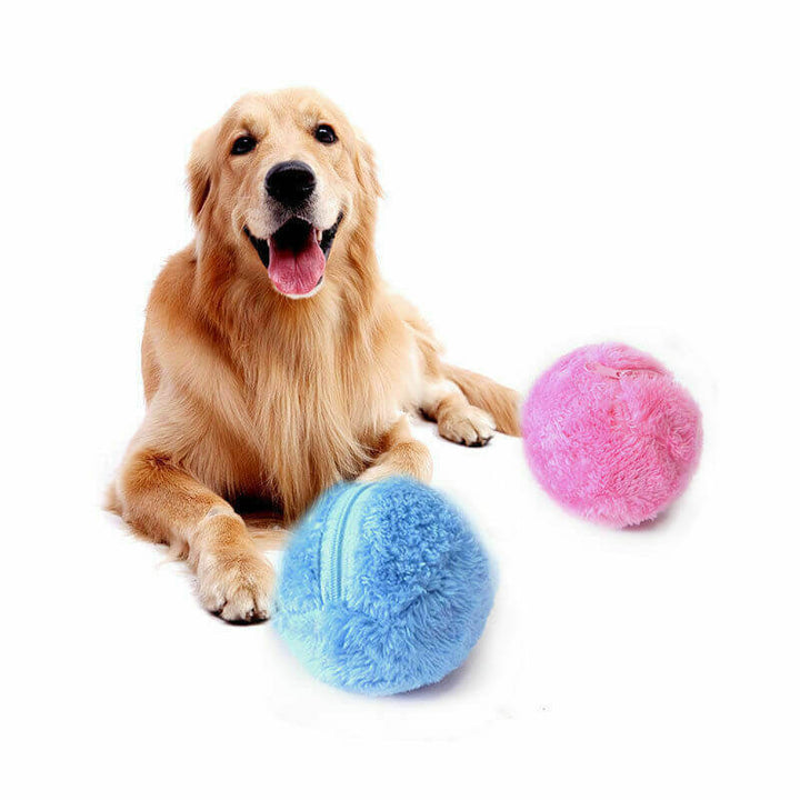 Balle interactive auto-roulante pour chien