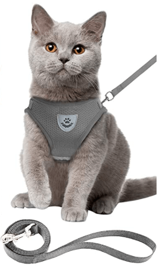 Ausbruchsicheres Katzengeschirr mit Leine