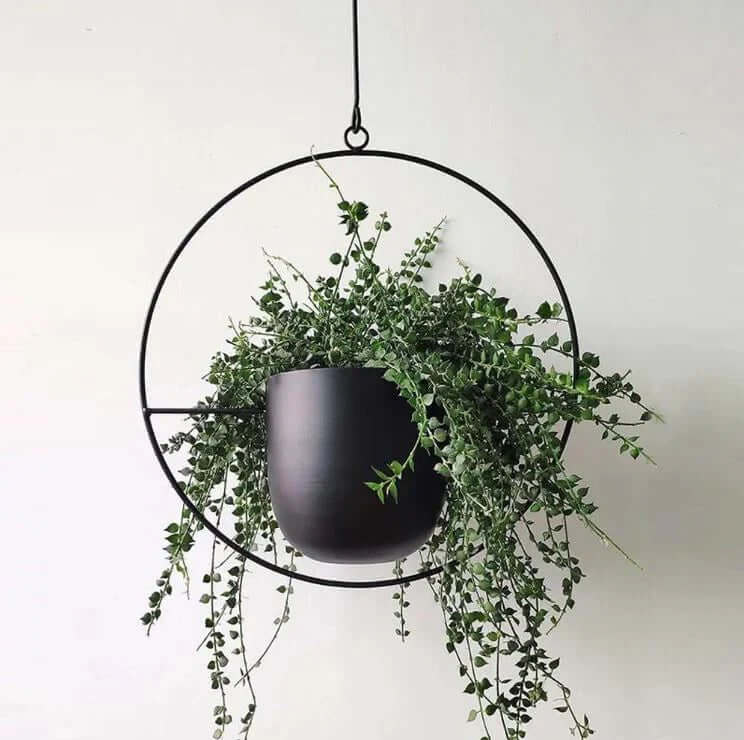 Porte-plantes moderne - élégant et robuste pour une utilisation intérieure et extérieure