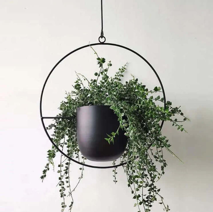 Porte-plantes moderne - élégant et robuste pour une utilisation intérieure et extérieure