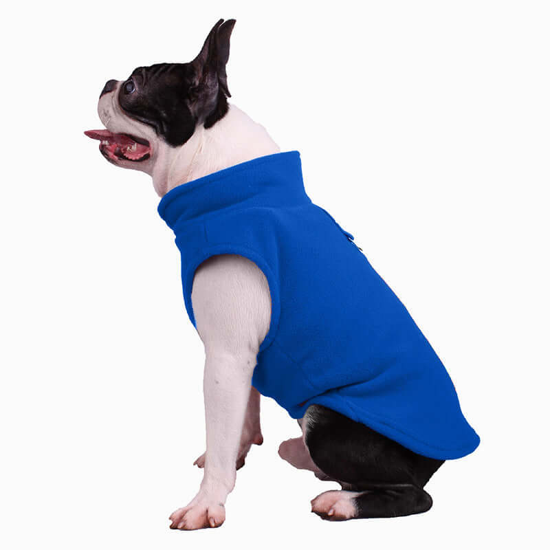 Veste robuste pour chien pour toutes les saisons