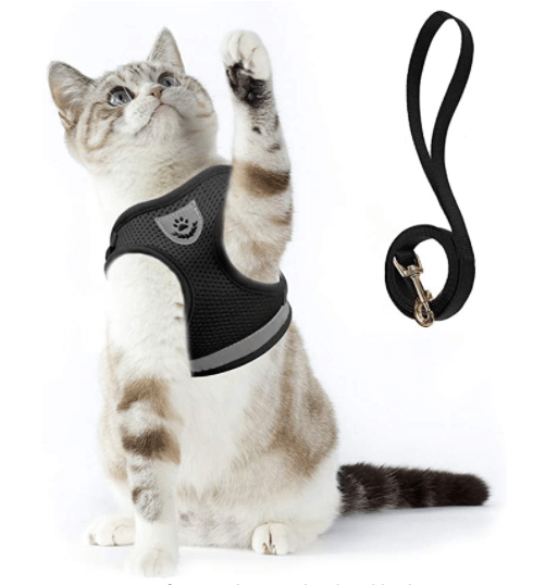 Ausbruchsicheres Katzengeschirr mit Leine