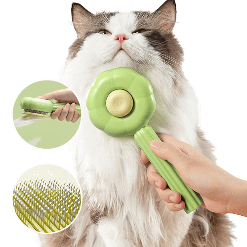 Brosse autonettoyante pour chat pour un toilettage facile