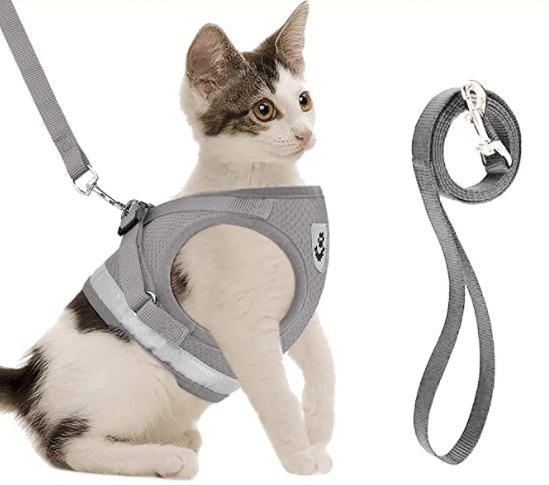 Ausbruchsicheres Katzengeschirr mit Leine