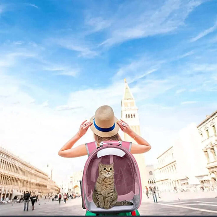 Sac à dos de transport transparent pour animaux de compagnie
