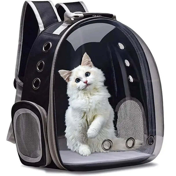Sac à dos de transport transparent pour animaux de compagnie