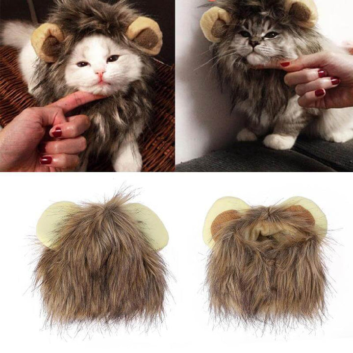 Crinière de lion pour chat, crinière de costume pour animal de compagnie