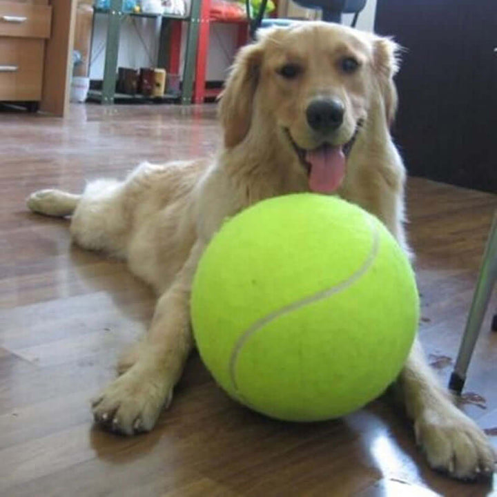 Balle de tennis XXL pour chien (24 cm) - Robuste et grande taille