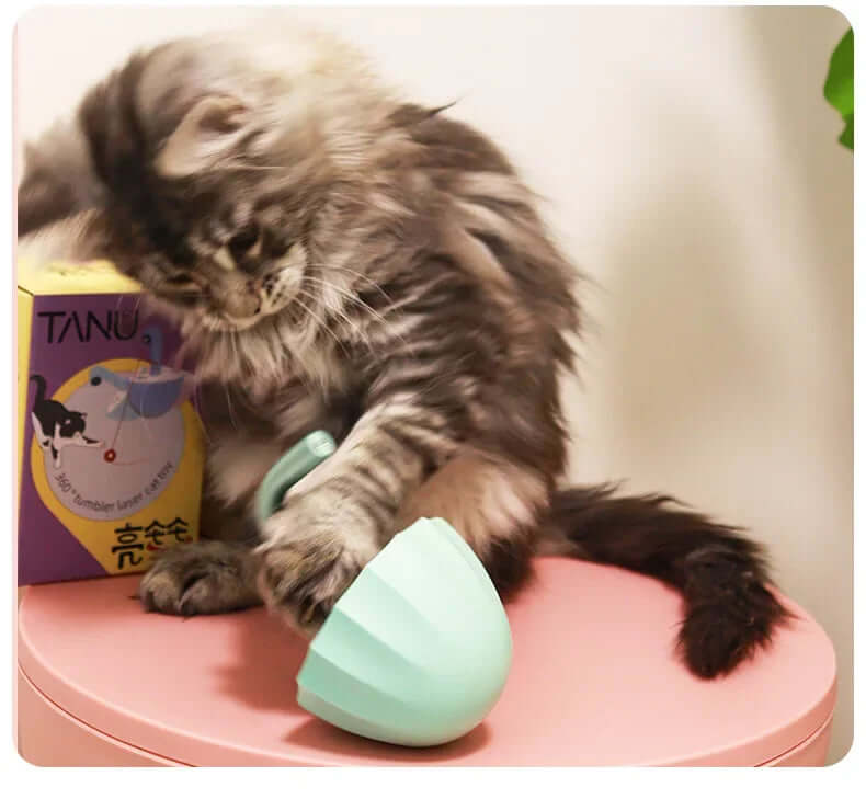 Jouet interactif pour chat avec pointeur laser