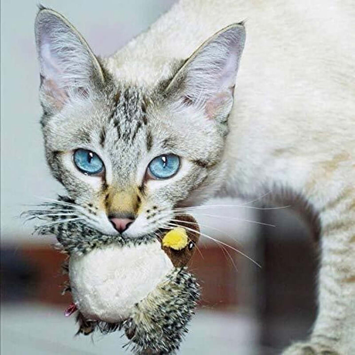 Jouet interactif pour chat oiseau avec sons