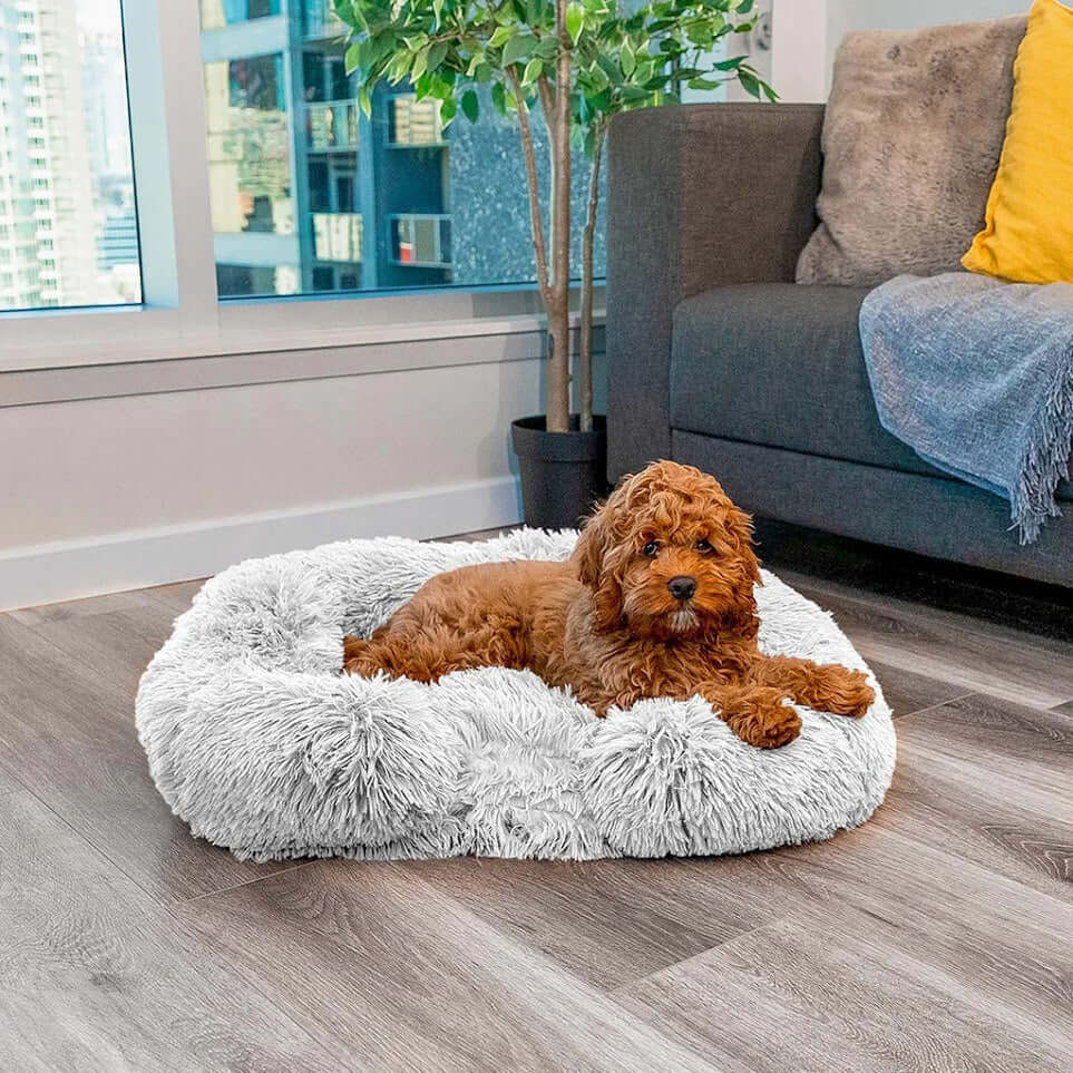 Lit orthopédique pour chien avec mousse à mémoire de forme