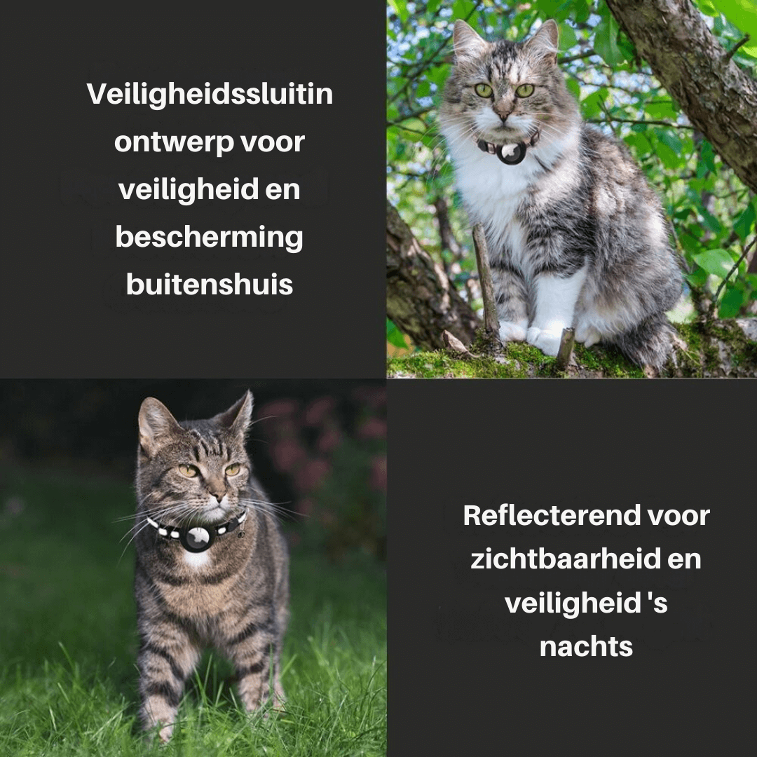 Katzenhalsband mit Sicherheitsverschluss & GPS-Tracker Halterung