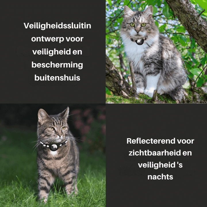 Katzenhalsband mit Sicherheitsverschluss & GPS-Tracker Halterung