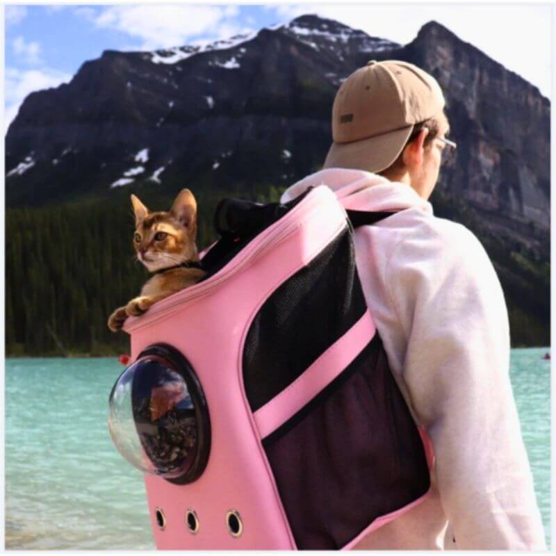 Sac de transport pour chat, pratique et pliable
