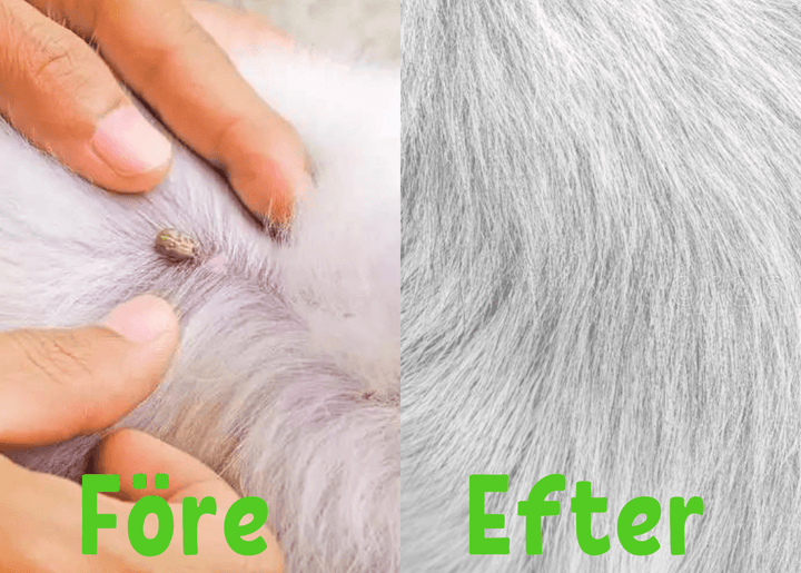 Collier anti-puces et anti-tiques pour chiens et chats