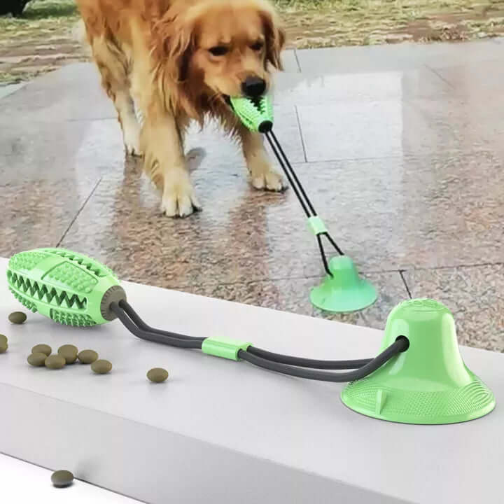 Jouet à tirer robuste pour chien avec ventouse