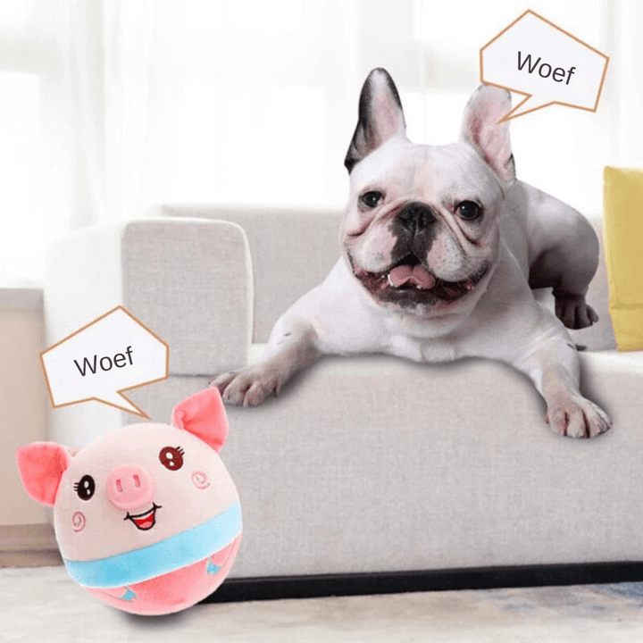Jouets interactifs pour chiens - exercice et plaisir