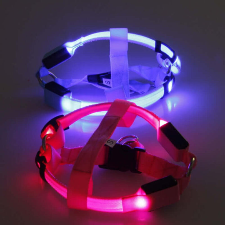LED Hundegeschirr - Sicherheitsgeschirr für Hunde