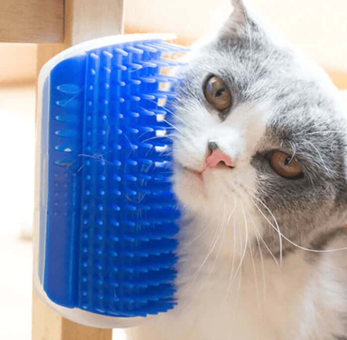 Brosse d'auto-toilettage pour chat pour le coin