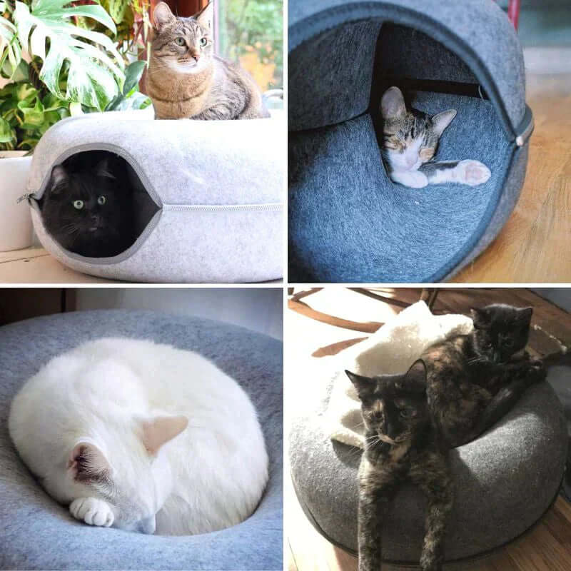 Lit luxueux pour chat et grotte de jeu