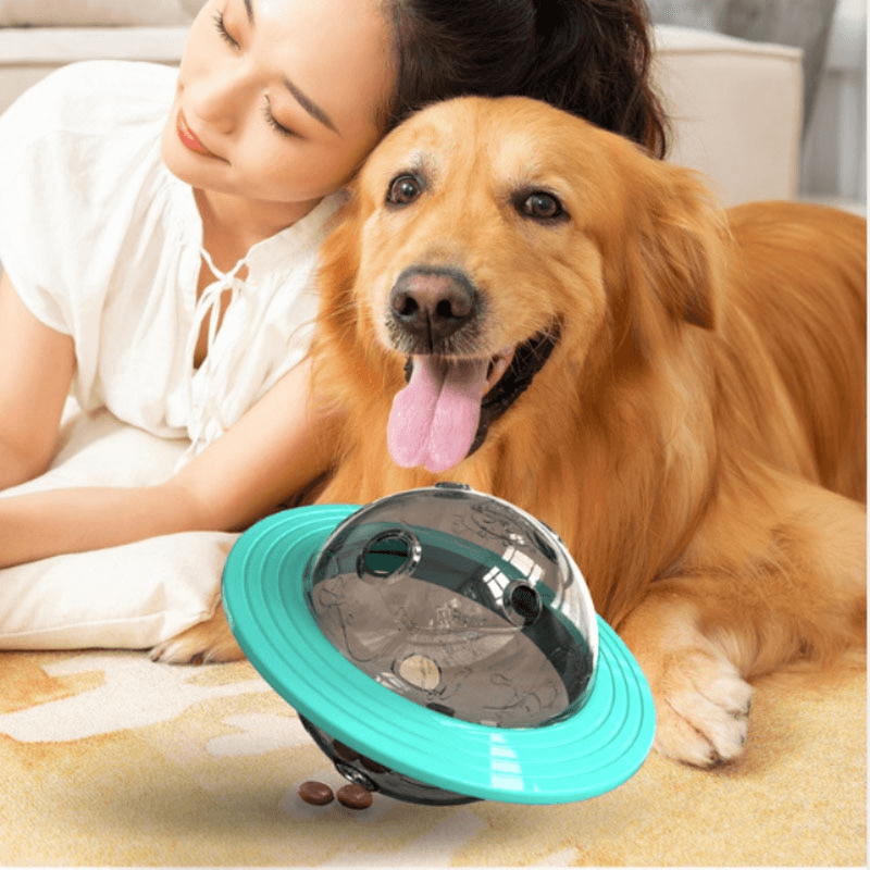 Interaktives Hundespielzeug mit Leckerli-Funktion