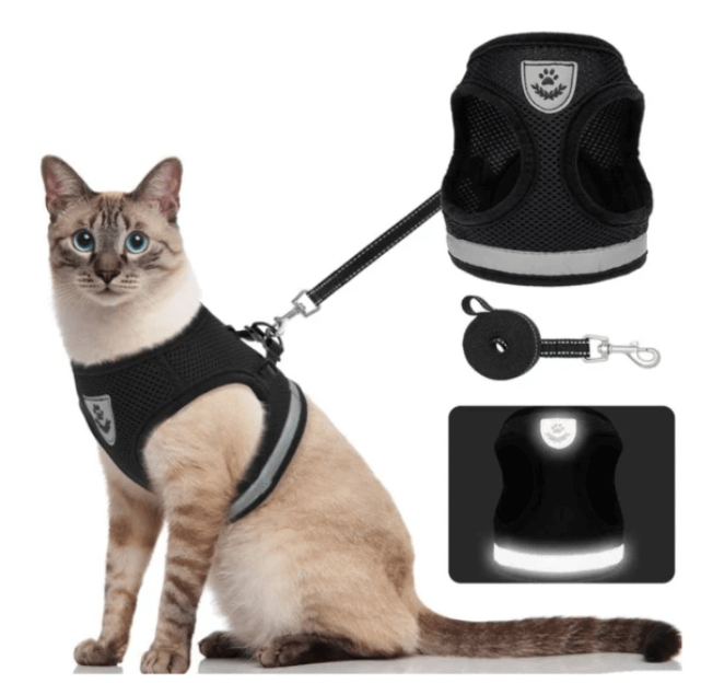 Ausbruchsicheres Katzengeschirr mit Leine