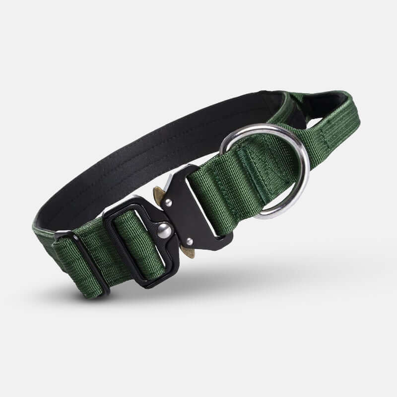 Collier tactique pour chien avec poignée - Robuste et sûr