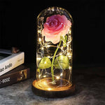 Rosa