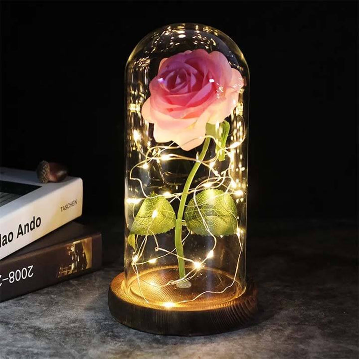 Ewige Rose im Glassturz
