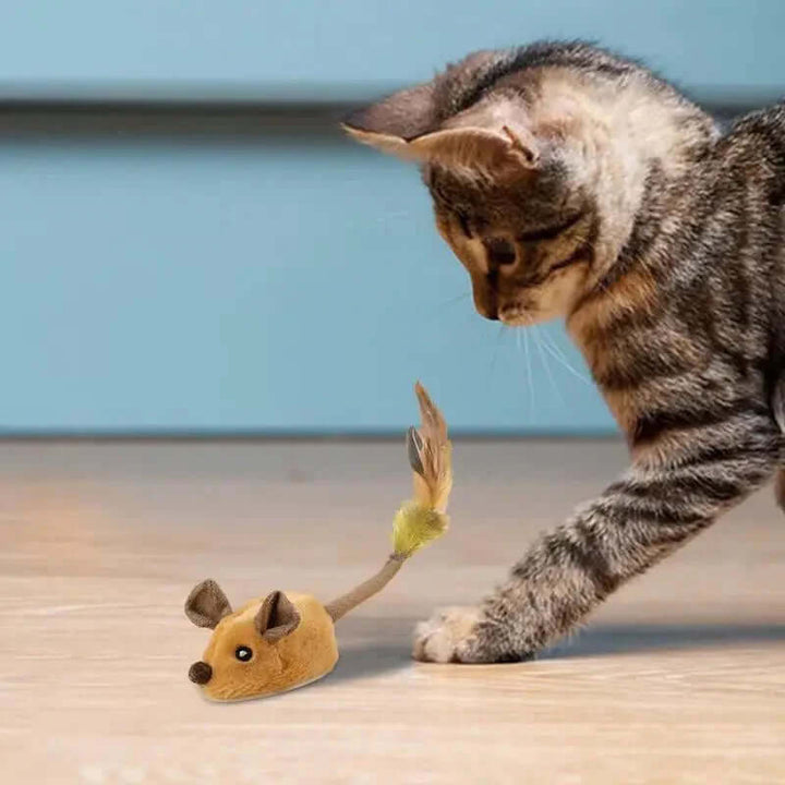 Jouet interactif pour chat souris avec plume