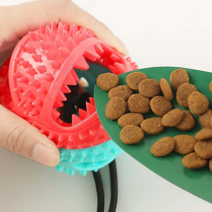 Jouet à tirer robuste pour chien avec ventouse