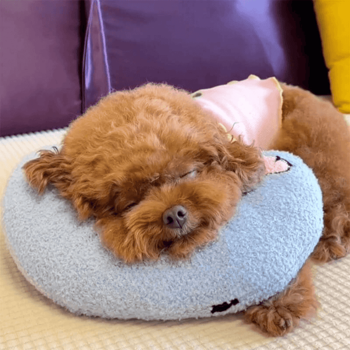 Coussin câlin pour chien pour le repos et le confort