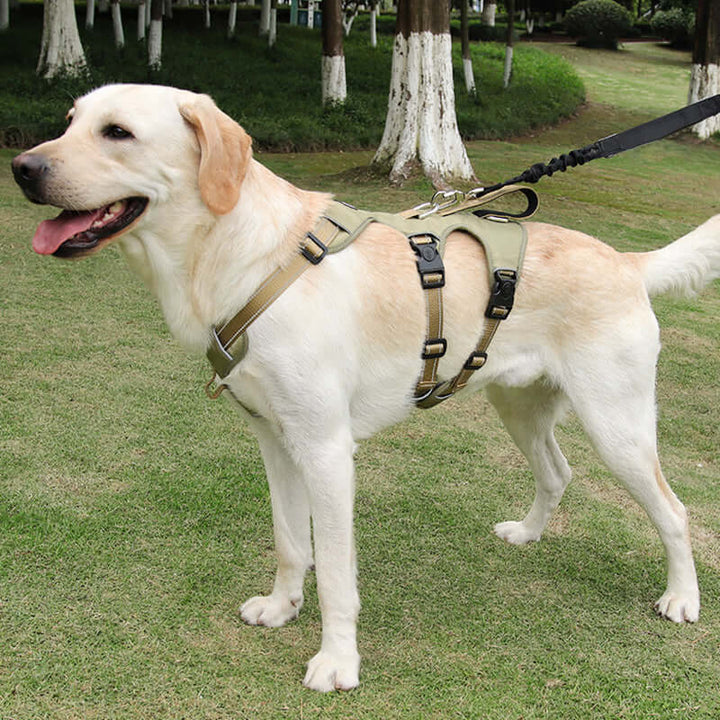 Harnais réfléchissant pour chien, anti-traction et confort