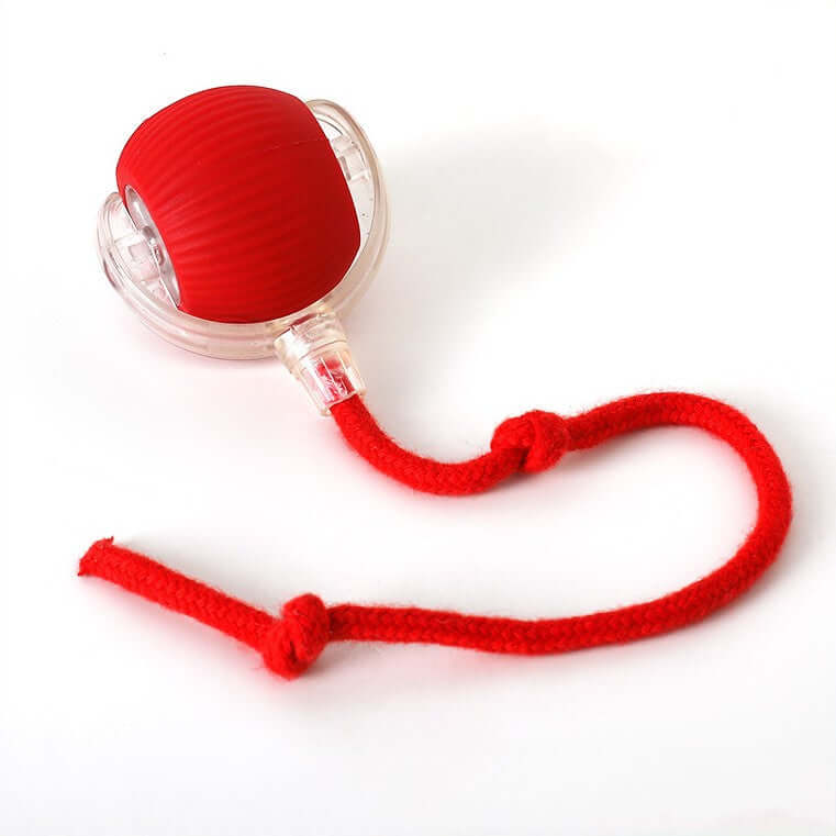 Balle interactive pour chat avec queue