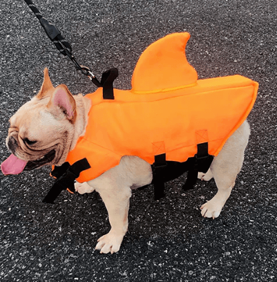 Gilet de sauvetage pour chien - Sûr et confortable