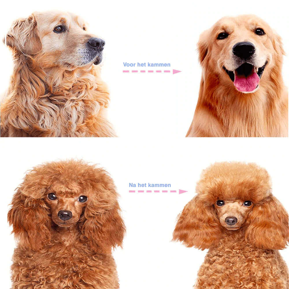 Peigne démêlant double face pour animaux de compagnie